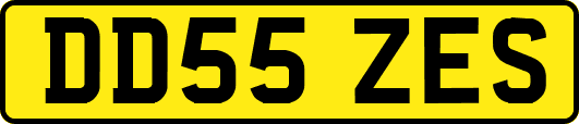 DD55ZES
