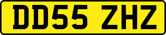 DD55ZHZ