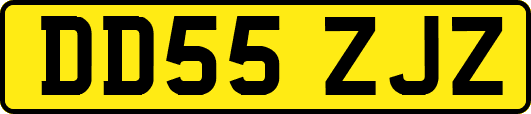 DD55ZJZ