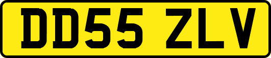 DD55ZLV