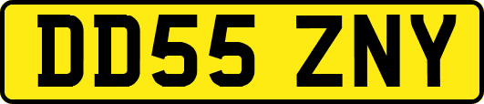 DD55ZNY