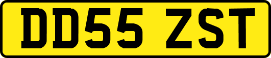 DD55ZST