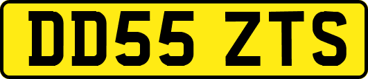 DD55ZTS
