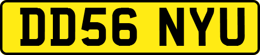 DD56NYU