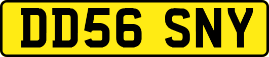 DD56SNY