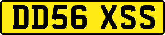 DD56XSS