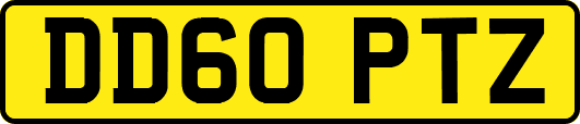 DD60PTZ