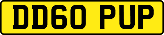 DD60PUP