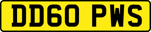 DD60PWS