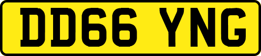 DD66YNG
