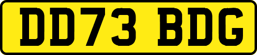 DD73BDG