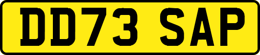 DD73SAP