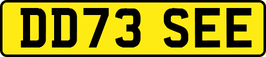 DD73SEE