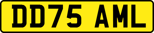 DD75AML