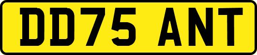 DD75ANT