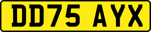 DD75AYX