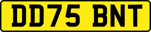 DD75BNT