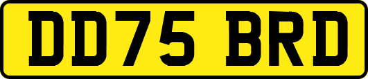 DD75BRD