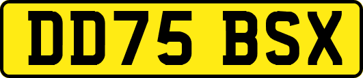 DD75BSX