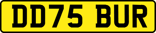 DD75BUR