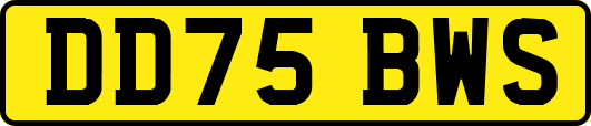 DD75BWS