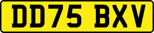 DD75BXV