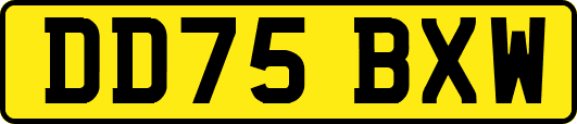 DD75BXW
