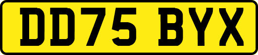 DD75BYX