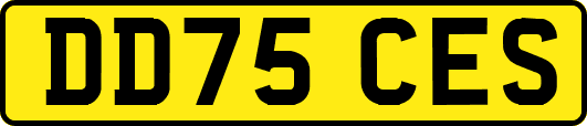 DD75CES