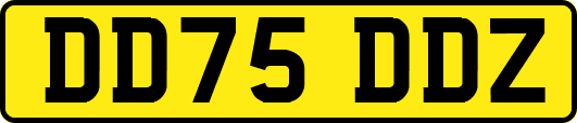 DD75DDZ