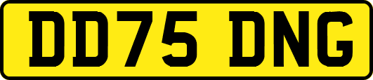 DD75DNG