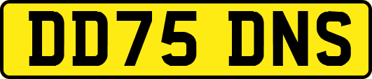 DD75DNS