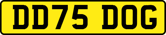 DD75DOG