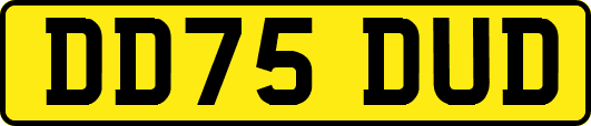 DD75DUD