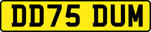DD75DUM