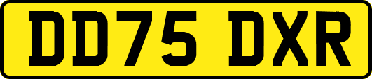 DD75DXR