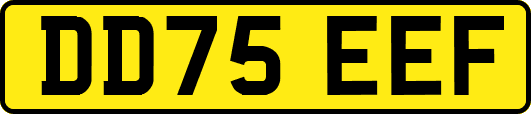 DD75EEF