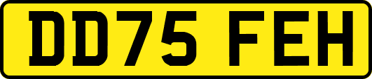 DD75FEH