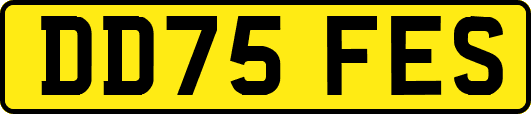 DD75FES