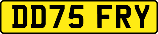 DD75FRY