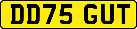 DD75GUT