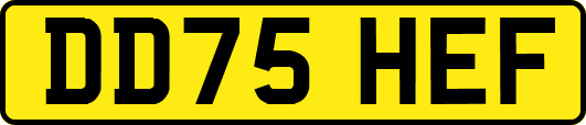 DD75HEF