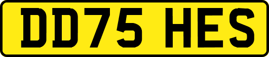 DD75HES