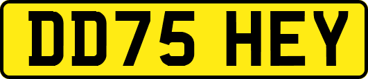DD75HEY