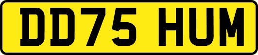 DD75HUM