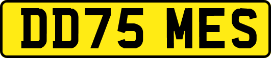 DD75MES