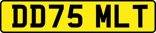DD75MLT