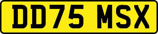 DD75MSX