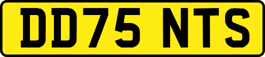 DD75NTS