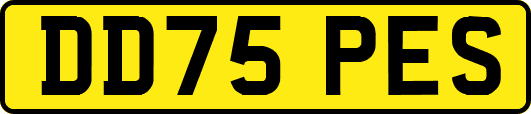 DD75PES